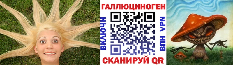 Псилоцибиновые грибы MAGIC MUSHROOMS Пятигорск