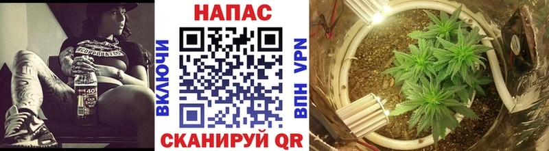 Бошки марихуана OG Kush  Пятигорск 